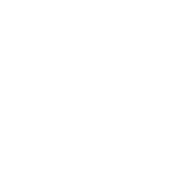 Angelssquad