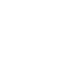 Assisterr
