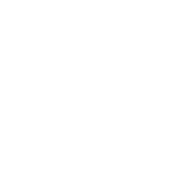 Debridge