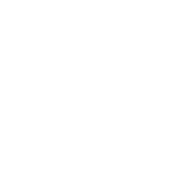 My Pet Hooligans