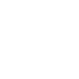 One piece labs
