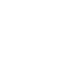 Polychain