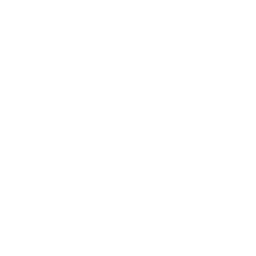 Spark