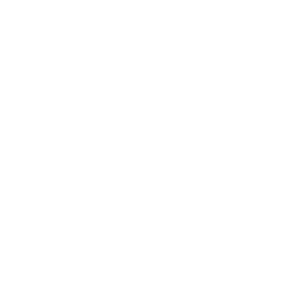 STS Digital