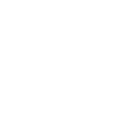 Turtle Club